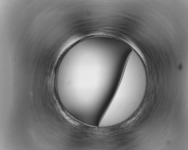 X0000092221053200709140918