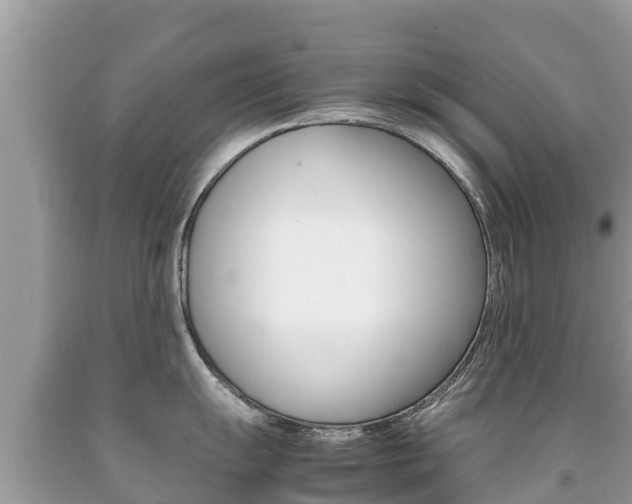 X0000092221055200709140918