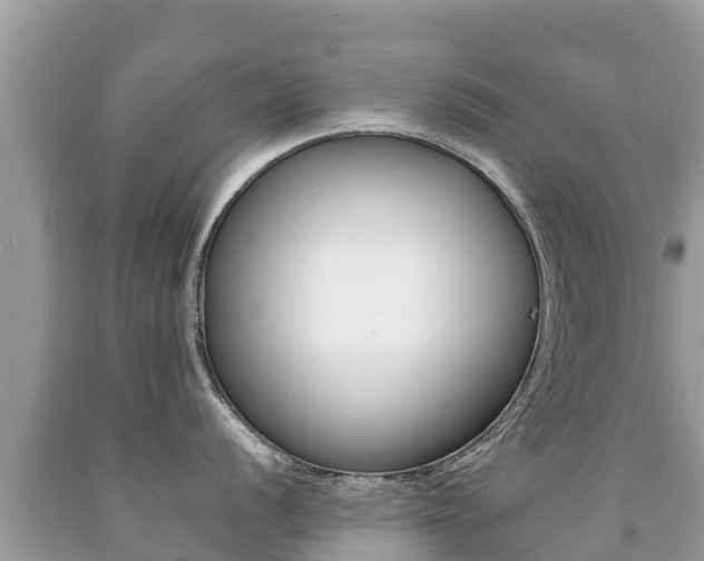 X0000092221056200709140918