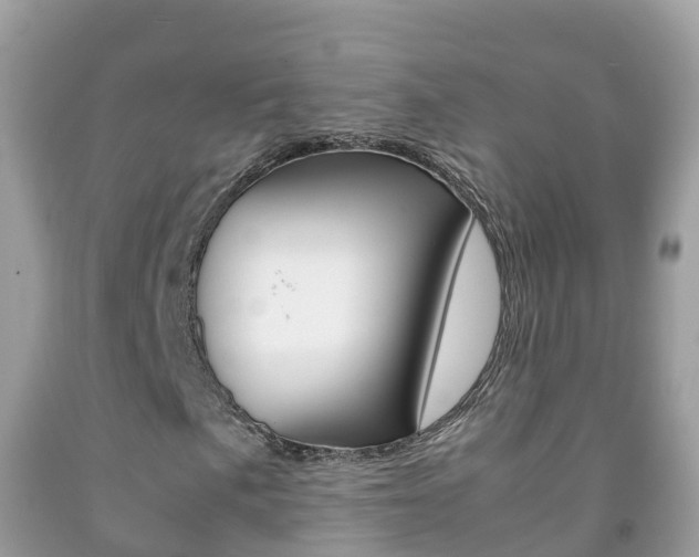 X0000092221057200709140917