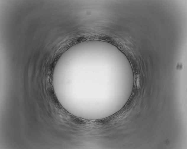 X0000092221059200709140917