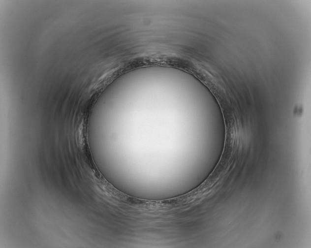 X0000092221060200709140917