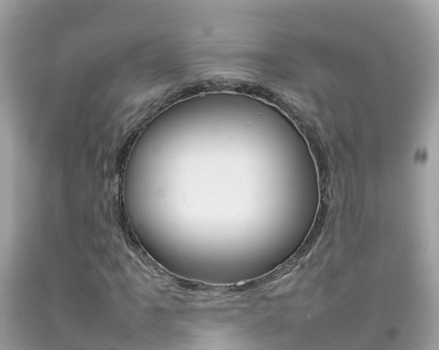 X0000092221061200709140917