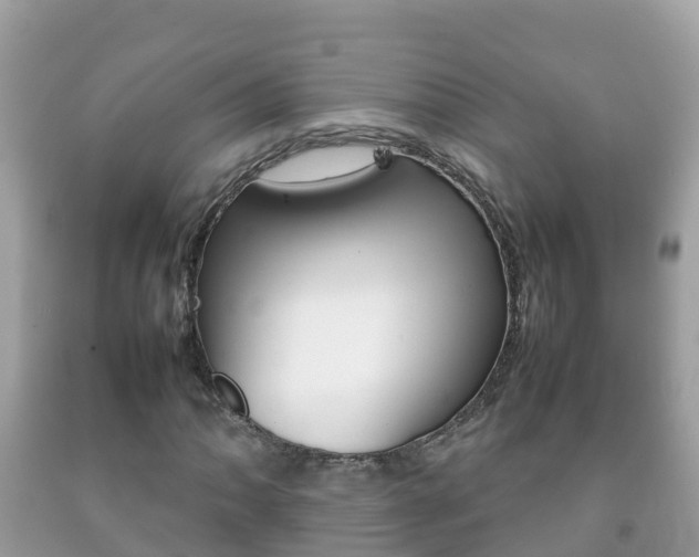 X0000092221062200709140917