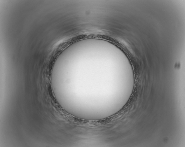 X0000092221063200709140917