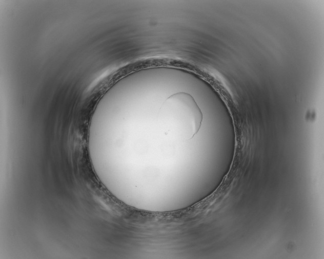 X0000092221064200709140917