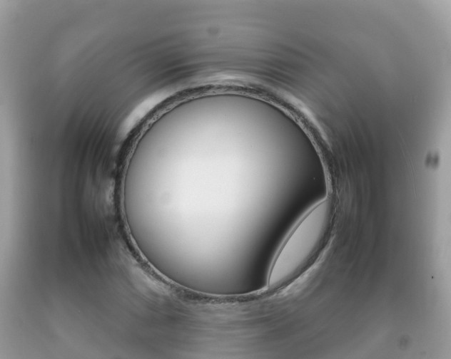 X0000092221066200709140917