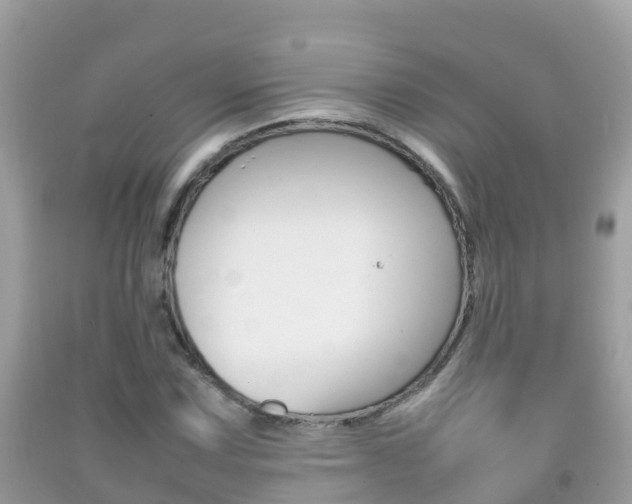 X0000092221067200709140917