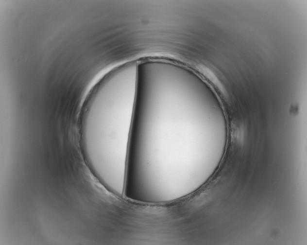 X0000092221068200709140917