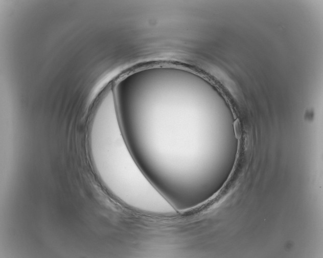 X0000092221069200709140917