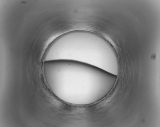 X0000092221071200709140917
