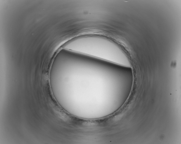 X0000092221073200709140917