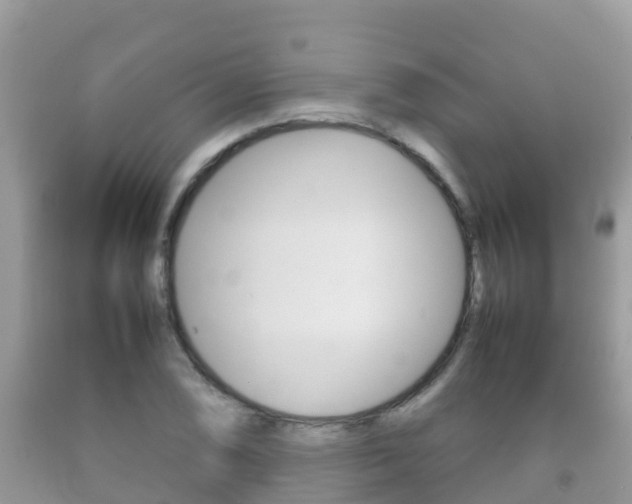 X0000092221074200709140917