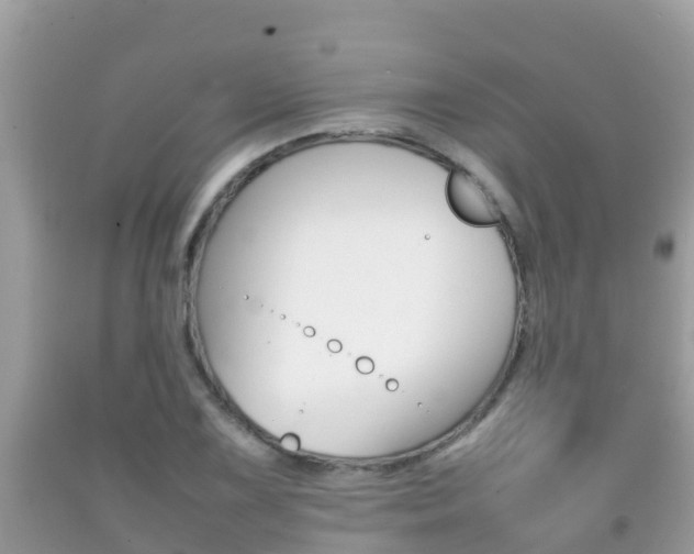 X0000092221075200709140917