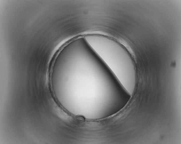 X0000092221076200709140917
