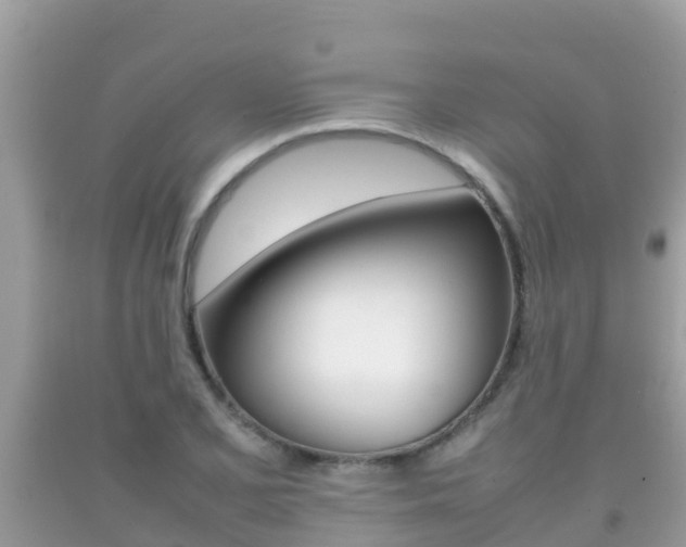 X0000092221077200709140917