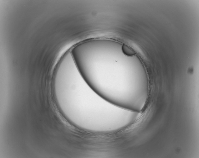 X0000092221079200709140917