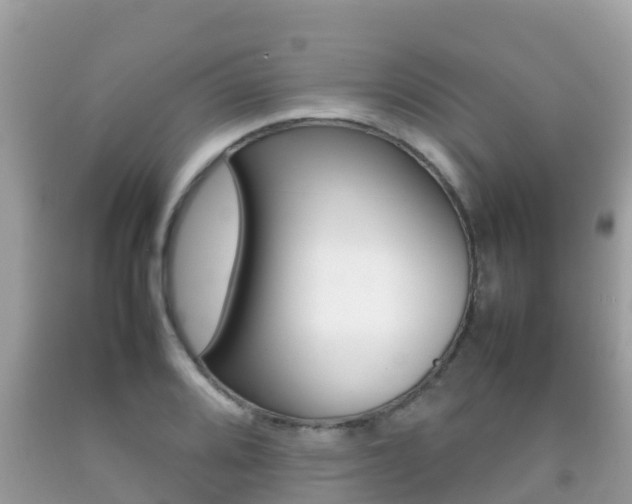 X0000092221080200709140917