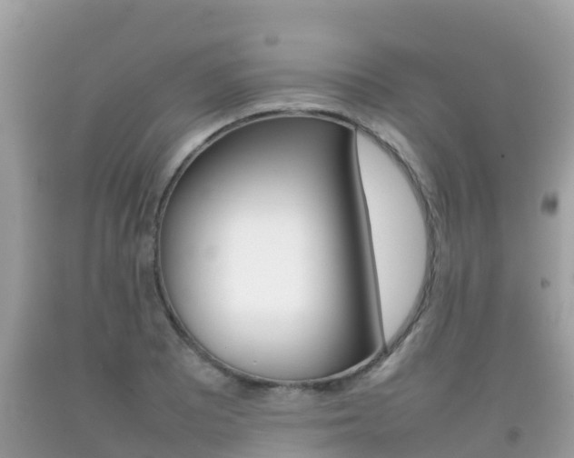 X0000092221081200709140917
