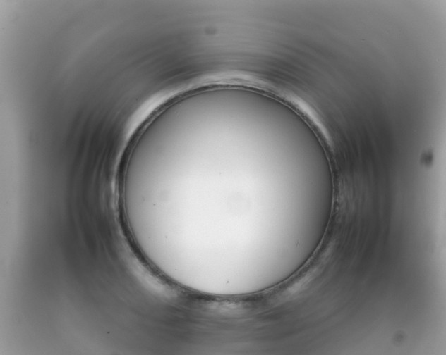 X0000092221082200709140917