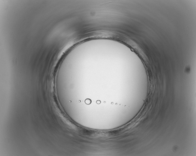 X0000092221083200709140916