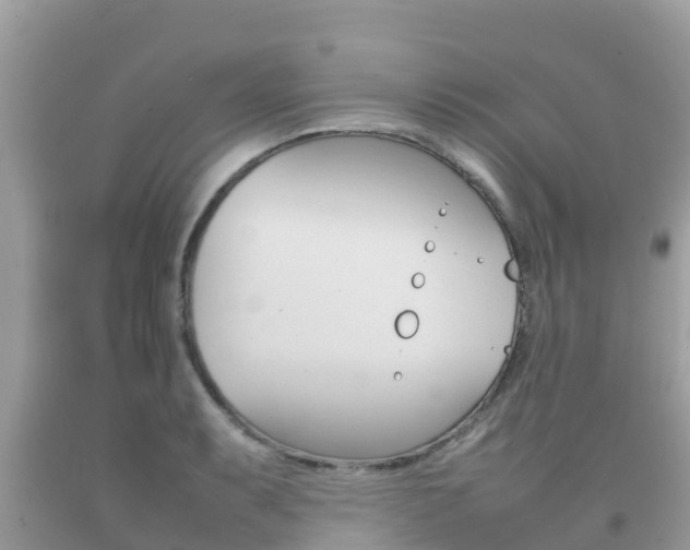 X0000092221087200709140916