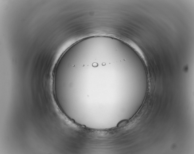 X0000092221096200709140916