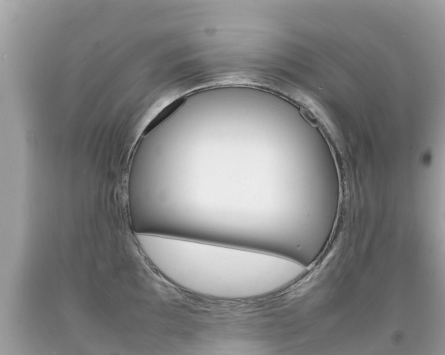 X0000092221097200709140916