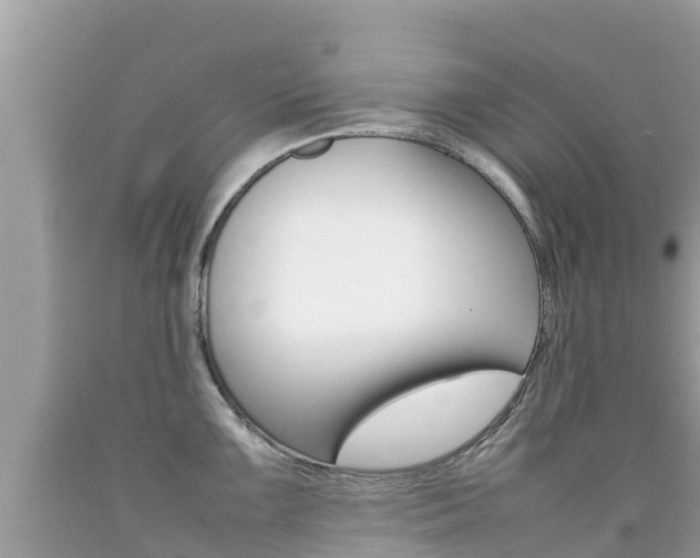 X0000092221099200709140916