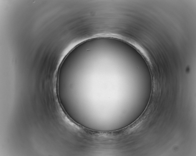 X0000092221102200709140916