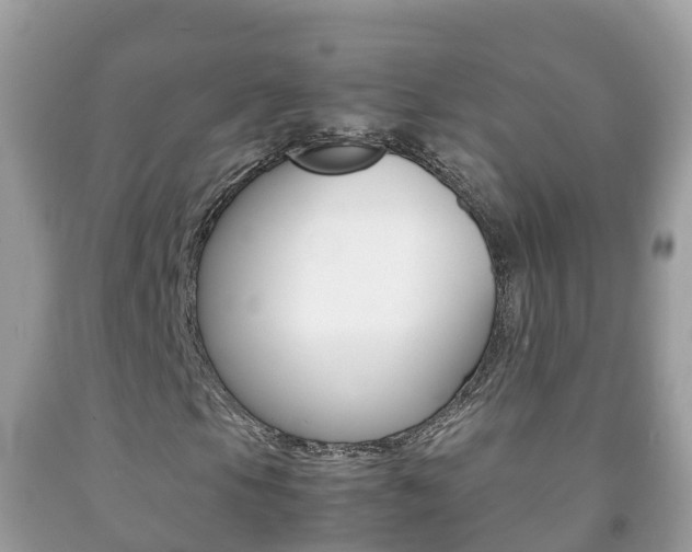 X0000092221105200709140916