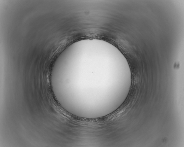 X0000092221106200709140916
