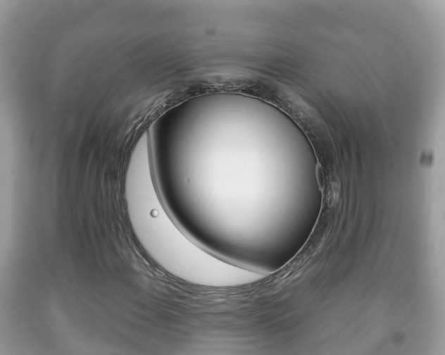 X0000092221108200709140916