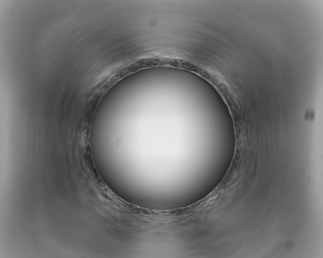 X0000092221110200709140916