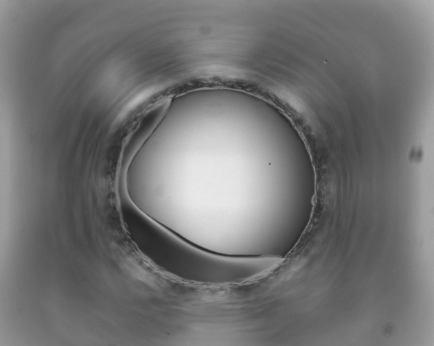 X0000092221112200709140916