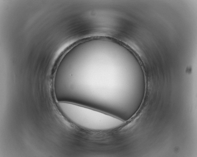 X0000092221119200709140916