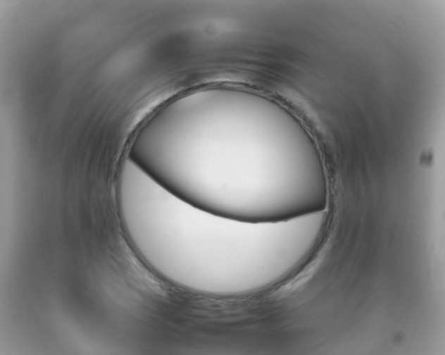 X0000092221121200709140916