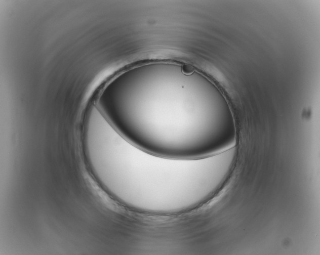 X0000092221122200709140916