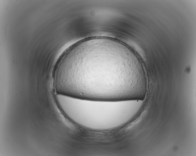 X0000092221125200709140916