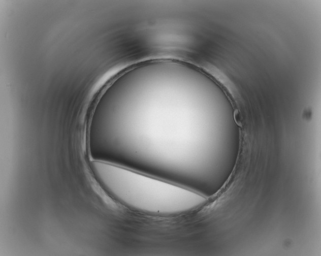 X0000092221127200709140916