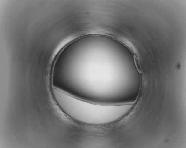 X0000092221138200709140916