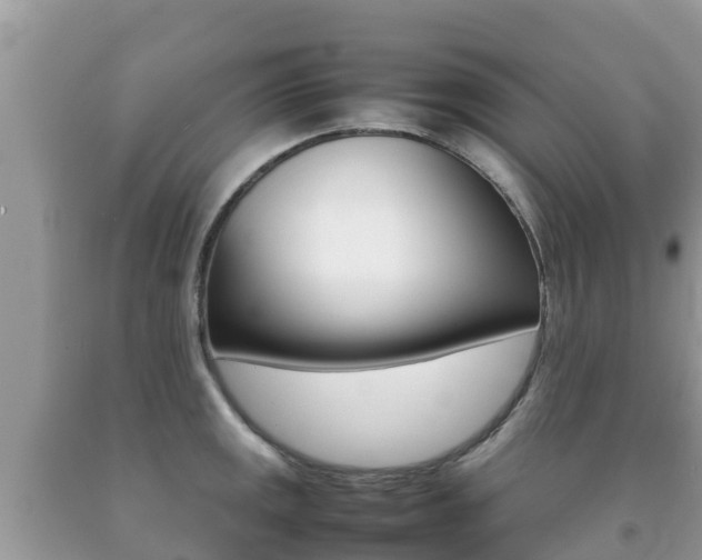 X0000092221141200709140916