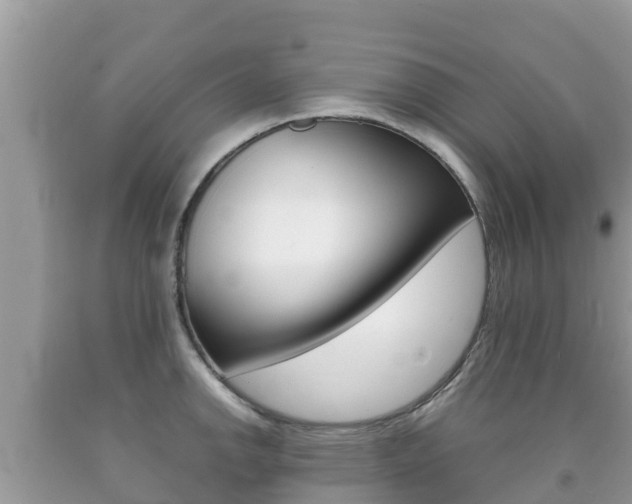 X0000092221142200709140916