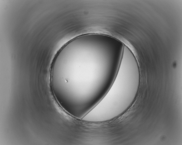 X0000092221144200709140916