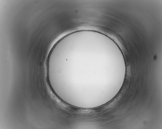 X0000092221150200709140916