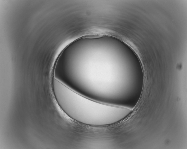X0000092221152200709140916
