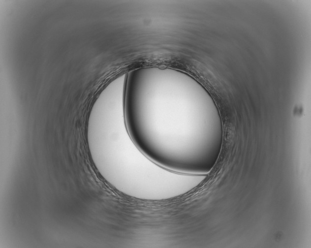 X0000092221153200709140916