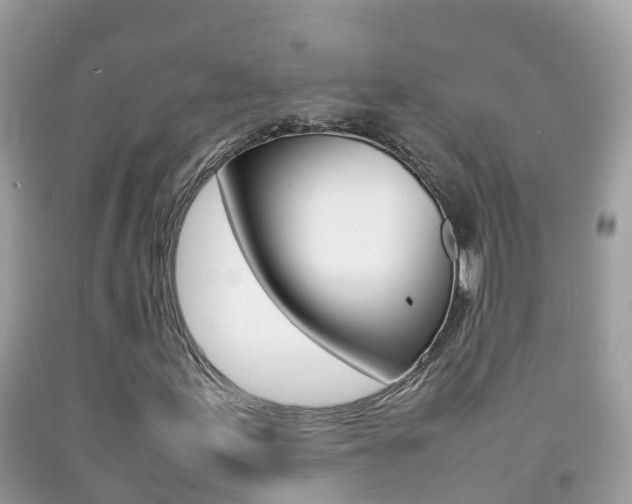 X0000092221155200709140916