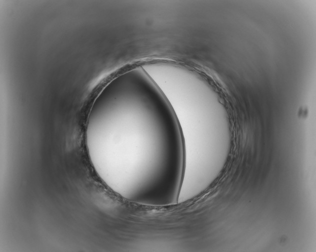 X0000092221160200709140916