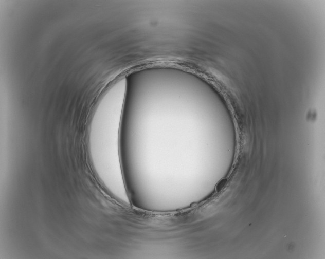 X0000092221161200709140916